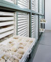 1 Museum Storage Drawers.JPG (1935551 bytes)
